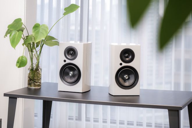 得买的10款HiFi音箱3千到2万元不等m6米乐注册厂商痛哭我们捡漏丨双11值(图9)