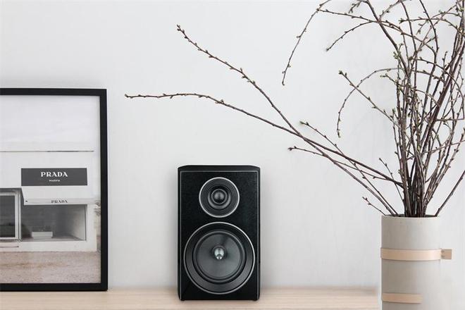 得买的10款HiFi音箱3千到2万元不等m6米乐注册厂商痛哭我们捡漏丨双11值(图17)