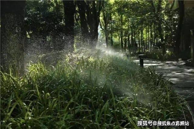 林售楼处发布：引爆购房热潮九月豪宅聚焦@中鹰·黑森(图10)
