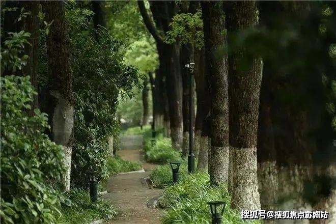 林售楼处发布：引爆购房热潮九月豪宅聚焦@中鹰·黑森(图15)